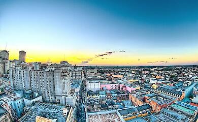 Журналісти міста Дніпро розповіли про собаку, який живе на дахах