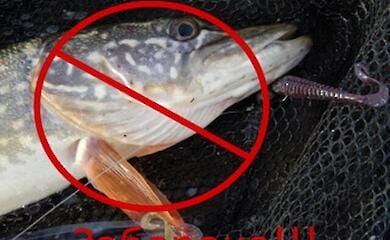 Рибалка спіймав сіткою щуку і тепер заплатить штраф