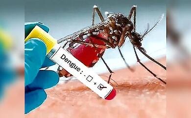 В Перу объявили ЧП из-за лихорадки денге