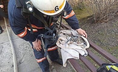 Надзвичайники Івано-Франківщини під час ліквідації пожежі реанімували кота
