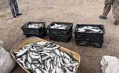 На Дунаї затримали рибалок-браконьєрів