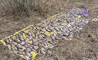 Наловили карасів на 730 тис. грн: патруль Київщини спіймав браконьєрів