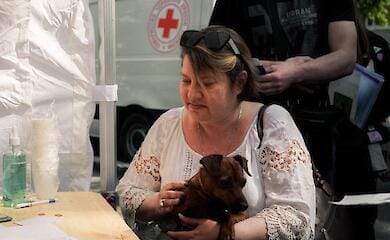 redcross.org.ua
