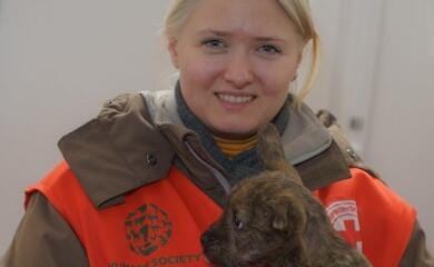 redcross.org.ua