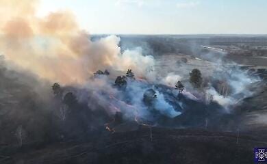 У Київській області виникло масштабне загоряння трав'яного настилу