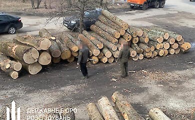 На Сумщине незаконно продавали лес 
