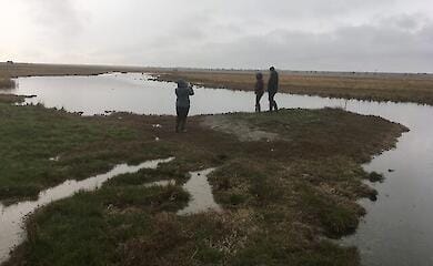 Реки "Тузловских Лиманов" находятся в критическом загрязнении (фото)