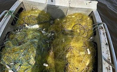 На Кременчуцькому водосховищі вилучили 4 км браконьєрських сіток