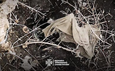 Окупанти прикували ланцюгом міномет до дерева на Бахмутському напрямку 