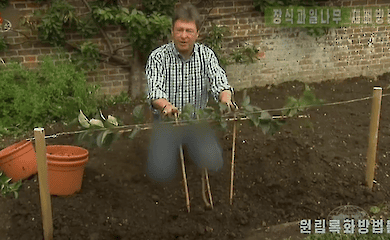 На телебаченні КНДР ведучому заблюрили джинси