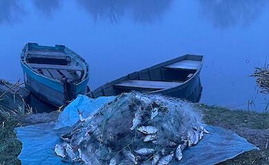 Активізувалися браконьєрські вилови риби