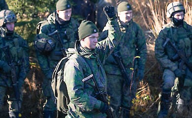 Фінляндія допустила можливість введення військ в Україну