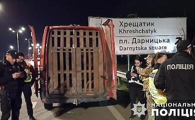 З'явилися подробиці загибелі оленя в Києві під час незаконного перевезення тварин (відео, фото)