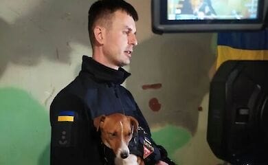 Запорожье посетил пес Патрон