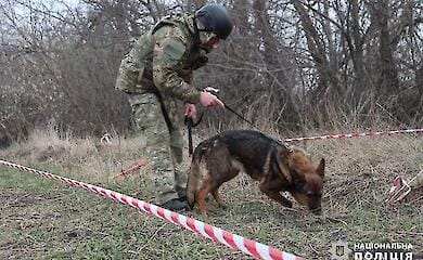 Поліція вперше почала залучати собак для розмінування територій