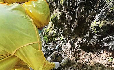 У Львові виявили 20 кілограм ртуті в лісопосадці (фото)