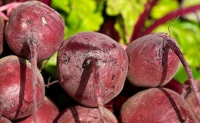 Столовий буряк в Україні дешевшає, його якість стрімко погіршується