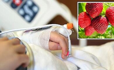 В днепровской больнице умер 6-летний мальчик, который съел клубнику