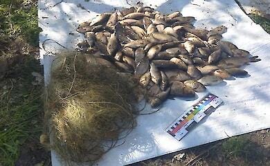 На Черкащині тривають активні антибраконьєрські рейди