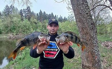 Рибалки показали берегову риболовлю зі спінінгом у Сумській області