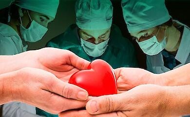 Трансплантації в Україні оплачує держава