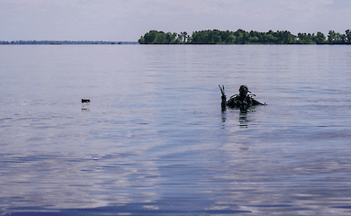 В Запорожье в местной реке обнаружили мертвого человека