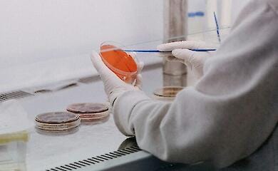 Уже другий випадок ботулізму зафіксовано в Київській області