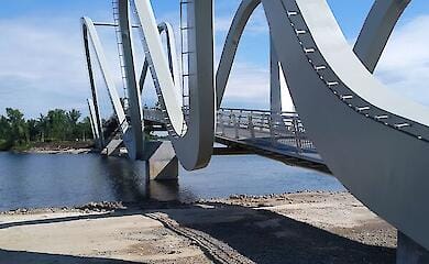 У Києві біля нового мосту знищили червонокнижні рослини