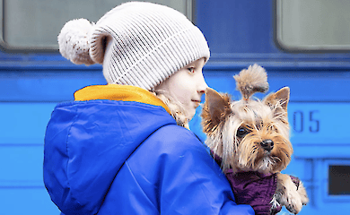 У Ковелі жінка через суд повернула виплати на дітей-переселенців