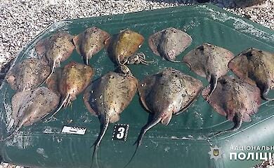 У "Тузлівських лиманах" затримали браконьєра