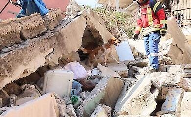 Сборная Украины выступит на Чемпионате мира по поисково-спасательной службе