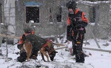 Ukrainian Team, Individual FCI World Championship of Rescue Dogs 2024