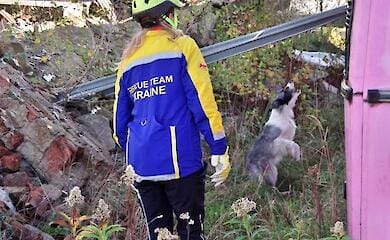 Ukrainian Team, Individual FCI World Championship of Rescue Dogs 2024