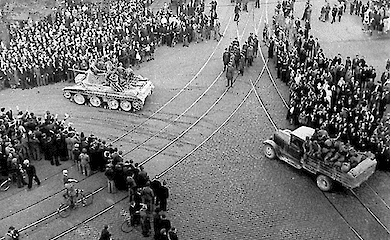 Соцсеть X охватил массовый флешмоб "Я ненавижу Россию"