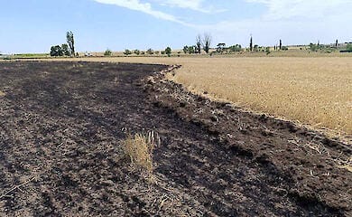 На Николаевщине из-за возгорания комбайна загорелось поле