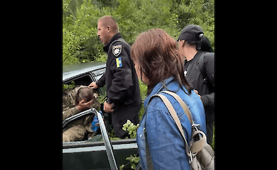 Полиция открыла уголовные дела на местных жителей Ворохты после конфликта с ТЦК