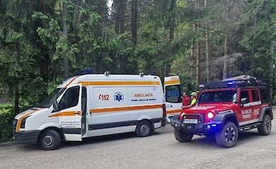 В Румынии медведь напал на туристку