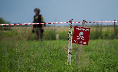 Начался прием заявок на компенсацию за разминирование сельскохозяйственных земель