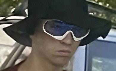 Полиция сообщила приметы подполагаемого убийцы Фарион