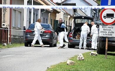 У Хорватії сталося масове вбивство в будинку для літніх людей