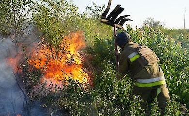 У Миколаєві вирує масштабна пожежа на відкритій місцевості