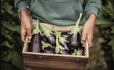 У Києві пройдуть традиційні продуктові ярмарки