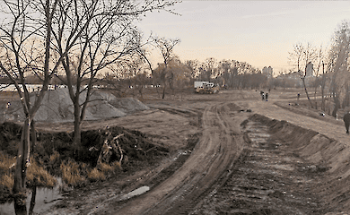 У Києві прокуратура порушила справу через знищення вікових дерев на Оболонському острові