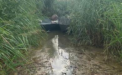 На Одещині браконьєри наловили риби на понад два млн грн