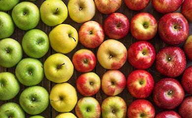 10 и 11 августа в Киеве пройдут ярмарки