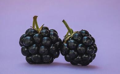 Рецепти соусу для м'яса з ожини