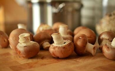 Назбирали отруйних грибів: подружжя отруїлося на Сумщині