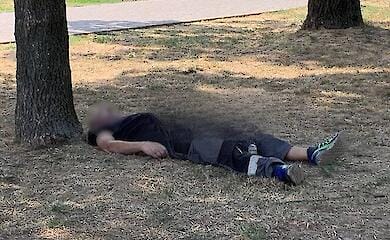 В Кривом Роге мужчина погиб от множественных укусов пчел в парке