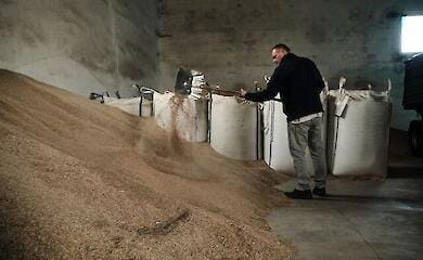 В Україні підвищують ціни на продукти: які саме