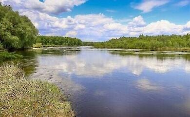 На Киевщине проверили качество воды в реке Десна